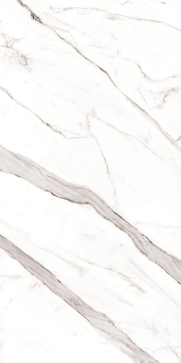 PEGAS SILVER (3)